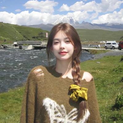 精英部队2：大敌当前